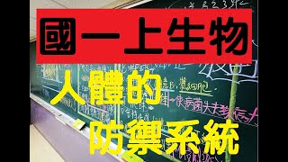 國一上生物 4-4 人體的防禦系統．發炎反應．專一性防禦是什麼｜國一生物 | 108課綱