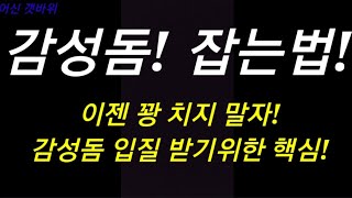 감성돔 잡는법! 감성돔 있는곳으로 가자!감성돔 낚시 입질 받기위한 핵심정리!