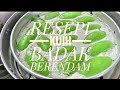 KUIH BADAK BERENDAM Rus Aly