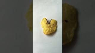 I found a heart shape walker Crisp #compilation #short