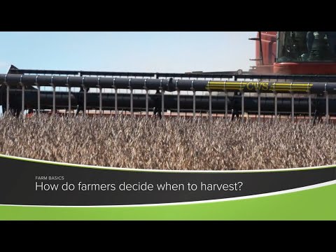 What time of year do farmers plant crops?