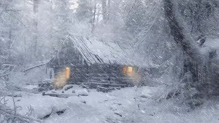 Hiding In An Abandoned Log Cabin From Strong Winter Wind | Heavy Blizzard \u0026 Wind Sounds for Sleeping