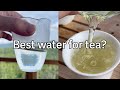 Making the best tea with the BEST WATER [Teatime with Jesse EP 8 Highlight]