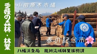 （森林・林業Vlog ？）小田原木市場 春の記念市編