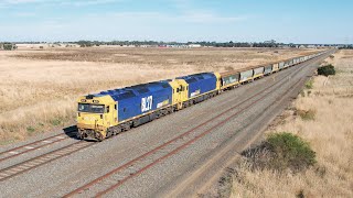 7736V Pacific National Grain Train With BL27 \u0026 BL32 (10/4/2022) - PoathTV Australian Railways