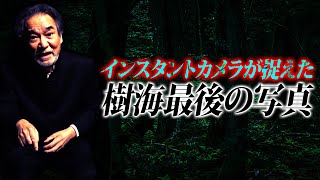 【霊の顔】稲川淳二が訪れる“魔の樹海”で見つかった死体の怪異！シャッターを押したインスタントカメラに残された霊の正体とは！？【樹海】【1枚の写真】【シャッター】【墓標】【もみの木】