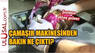 Çamaşır makinesinden bakın ne çıktı? Şeytanın aklına gelmeyecek görüntü