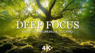 Work Music for Concentration - 12 Hours of Ambient Study Music to Concentrate #53