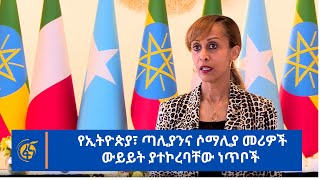 የኢትዮጵያ፣ ጣሊያንና ሶማሊያ መሪዎች ውይይት ያተኮረባቸው ነጥቦች