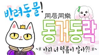 [반려동물! 동거동락] 아리 너 떡볶이 알아?!