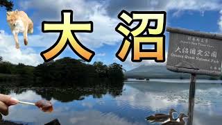 【日本新三景】大沼を紹介！ラムサール条約登録湿地