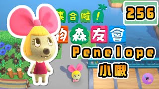 【集合啦！動物森友會】動物圖鑑#256 小啾 チューこ Penelope的特色屋外觀和內部擺設介紹! (Animal Crossing: New Horizons)(あつまれ どうぶつの森)