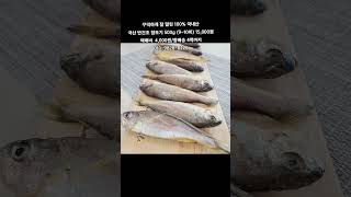 [똑손산지직송]꾸덕하게 잘 말린 100% 국내산 반건조 참조기