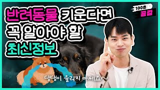 댕댕 냥냥 키운다면 꼭 봐야하는 영상! |100초 공감 [이벤트🎁]