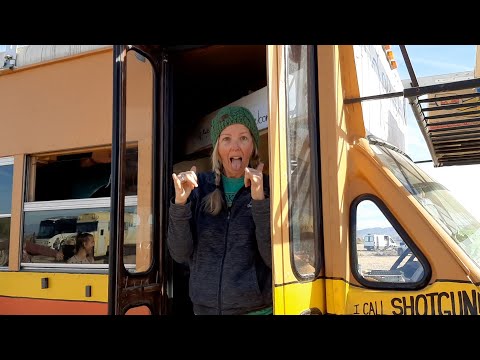 How many adults fit on a school bus?