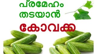 പ്രമേഹം തടയാൻ കോവക്ക Natural Remedy For Diabetes