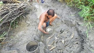 চরের মাঝে ছোট ডোবা থেকে আশ্চর্যজনক টাকি টেংরা সহ বিভিন্ন মাছ ধরা||Amazing Field Fish Catching