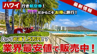 【ハワイ行き航空券】片道15,000円ってホント！？円安だからこそ、期間限定キャンペーンをお見逃しなく！【ハワイ最新情報】