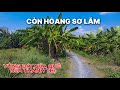 Long Thượng Khu Rẩy Còn Hoang Sơ quá ,Lần Đầu Mới Thấy .