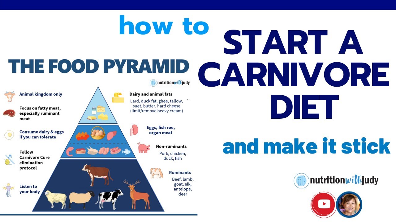 5 Tips On How To (Successfully) Start A Carnivore Diet - What You Need ...