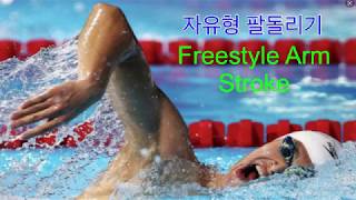 자유형 팔돌리기 ( Freestyle Arm Stroke )