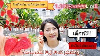 บุฟเฟ่ต์สตรอเบอรี่ญี่ปุ่น ราคา330บาทลูกใหญ่หวานฉ่ำ กินไม่อั้นไม่จำกัดเวลา แม่บ้านญี่ปุ่น,tookta tv