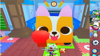 📚HATCHING HUGE STUDENT CORGI!!!🍎  Pet Simulator 99