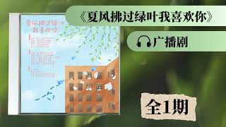 《夏风拂过绿叶我喜欢你》全一期广播剧 校园恋爱 | 言情小说