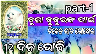 ୧୨ ଦିନ ଭୋଜି ମୋ ପୋଷା କୁକୁର ମିଟୁ ର, ବୁଲା କୁକୁରଙ୍କ ପାଇଁ ରୋଷେଇ ଚିକେନ ଭାତ part-1  #dog #doglover #chicken