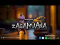 Huncho Lee Lefty - Zagamuana (Official visualizer)