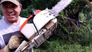 Stihl 031AV Storm Cleanup In Texas With Antique Chainsaws