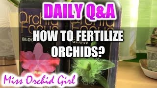 Q\u0026A - How to fertilize Orchids?