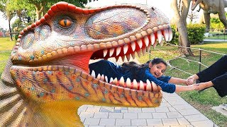 ! Shfa and Dinosaur Museum