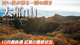 【大船山】まだ間に合う？九州の秋はここに行かねば！10月最終週末の紅葉をお届けします！