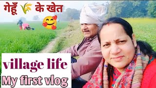 कोहरे के बाद धूप निकली तो हम गए गेहूँ के खेत से सरसों और बथुआ लेने|village life vlog|