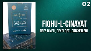 02. Cinayətlər / Cinayetler Fiqhi / Fıkhı / Nəfs Diyəti (Qan Bahası), Qeyri Qətl Cinayətləri