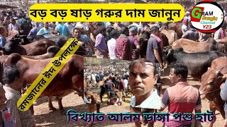 আজকে ষাঁড় গরু বেশ অনেক উপস্থিত |আলম ডাঙ্গা পশুহাট,চুয়াডাঙ্গা Alam Danga Gurur Haut Chuadanga 25