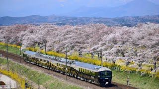 【東北本線】一目千本桜の開花に伴う速度低下運転を行いました。