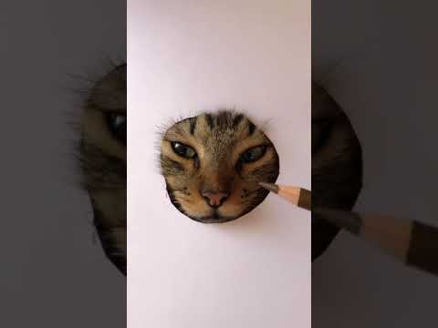 Dibujo Toma Vida 亞 Shorts Youtube