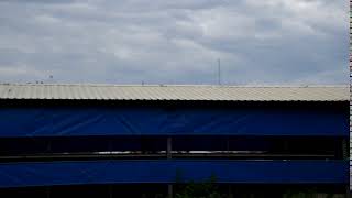 BR100 repel bird on the roof of hennery     20190824 2-4