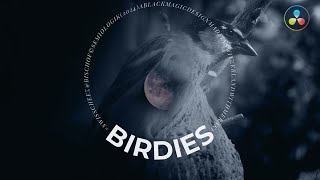 BIRDIES (Switzerland, 2023, FILM, Experimental, MONTAGE, Maquette, vSAMPLE, 1080p, 40 min.)