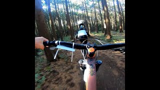 2021 0206 forestbike フォレストバイク小田原　マウンテンバイク　mtb