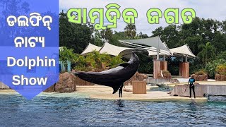 ଡଲଫିନ୍ ନାଟ୍ୟ | Dolphin Show | Wildlife | Travel \u0026 Nature | Sea | USA |