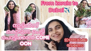 നാട്ടിലെ പെട്ടി പൊട്ടിച്ചാലോ |from Kerala to Uae|Family vlogs|ഇത് ഒക്കെ എന്തിനാ? 😄