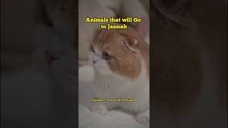 Animals That will Go to Jannah #shorts #islam #animals