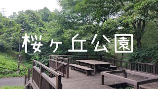 東京都多摩市の桜ヶ丘公園を散歩するぞ。Take a walk in Sakuragaoka Park in Tama City, Tokyo.