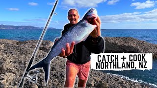 Catching & Cooking a NORTHLAND kahawai  + eating Pāua (abalone) pies | New Zealand food tour