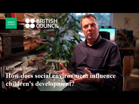 What are the different levels of socioeconomic status?