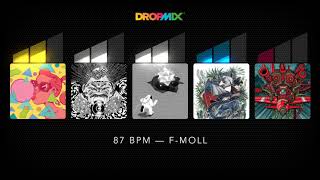 DROPMIX: The Mother We Share / Fermionic / Sexy And I Know It