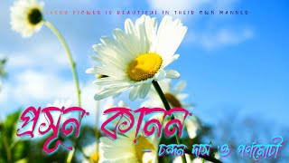 প্রসূন কানন 🌹🌹| বাংলা কবিতা আবৃতি | POETRY | RECITATION | @Monobithi001